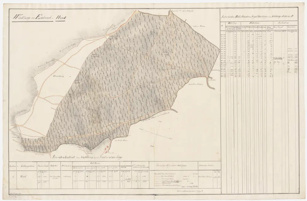 Embrach: Dem Obmannamt gehörende Waldung (Waldbezirk Hard); Grundriss (III. Planche)