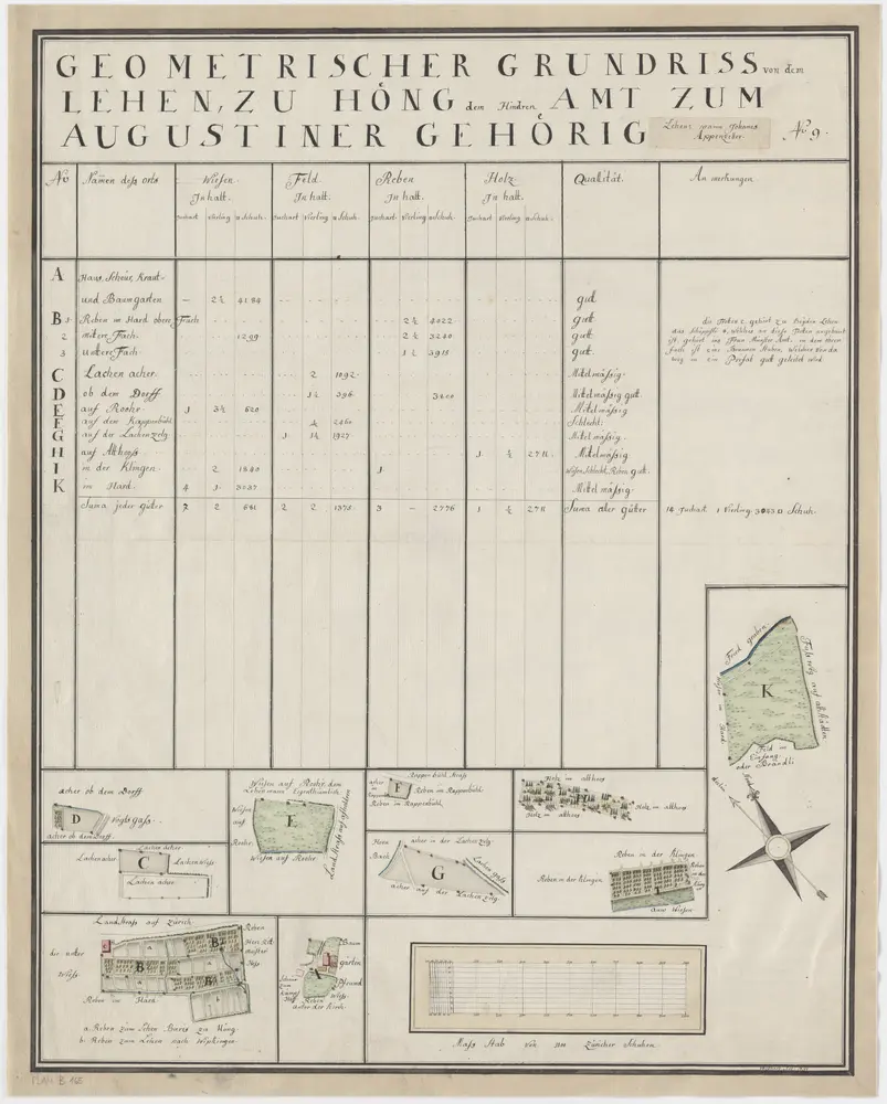 Höngg: Dem Hinteramt gehörendes Lehen; Grundrisse und Tabelle (Nr. 9)
