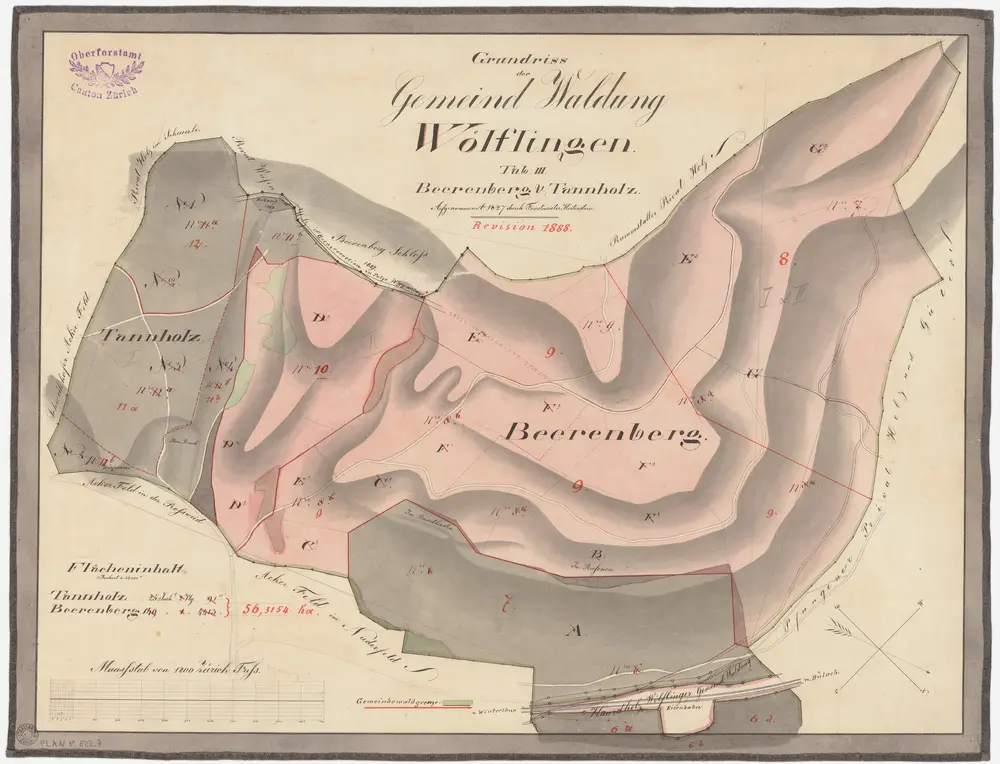 Wülflingen: Gemeinde- und Kirchgemeindewaldungen: Gemeindewaldungen Tannholz, Berenberg (Beerenberg); Grundriss (Tab. III)