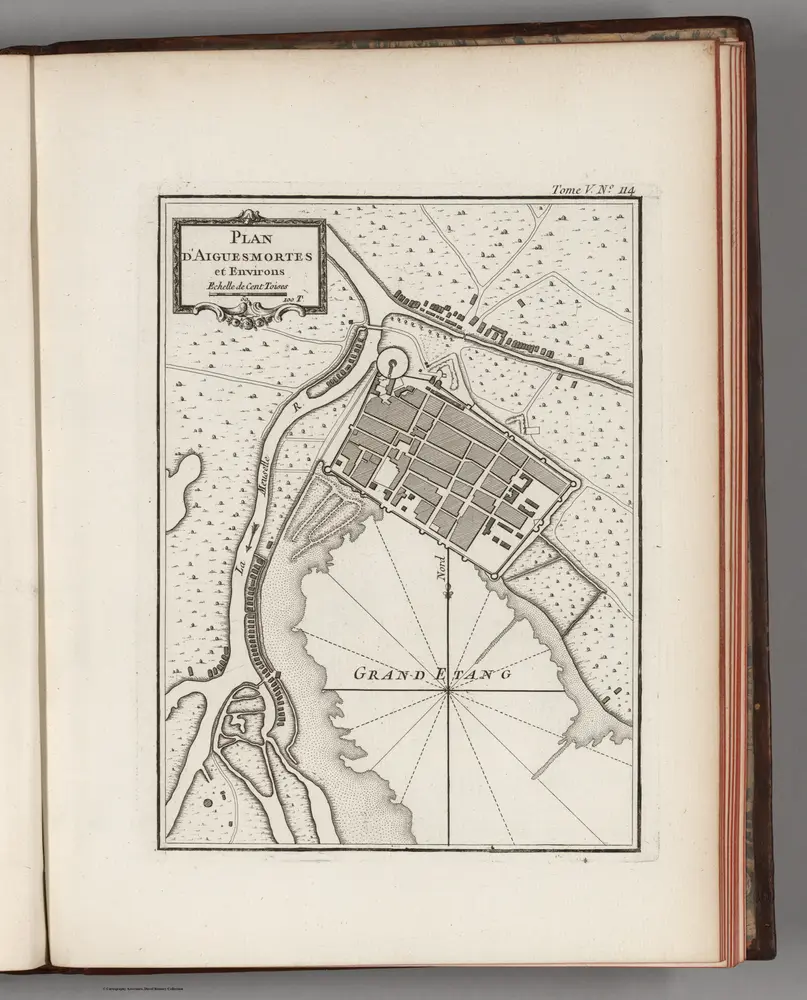 Plan d'Aiguesmortes et environs.