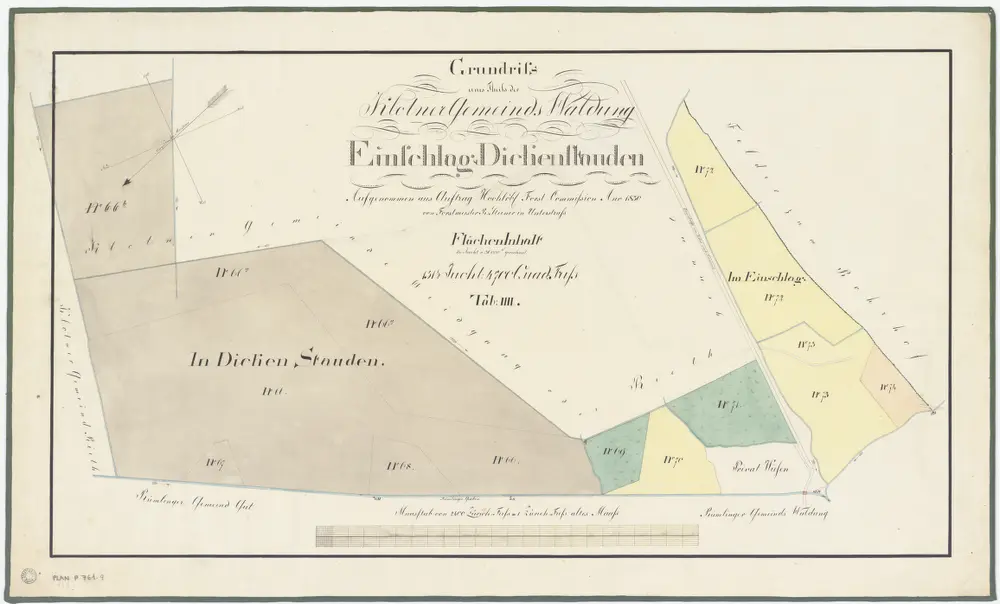 Kloten: Gemeinde- und Genossenschaftswaldungen: Gemeindewaldungen Einschlag und Dickenstauden; Grundriss (Tab. IV)