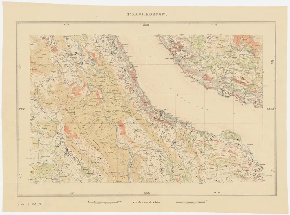 Kanton Zürich: Waldungen, Rebberge und Rodungen um die Mitte des 17. Jahrhunderts: Blatt XXVI: Horgen