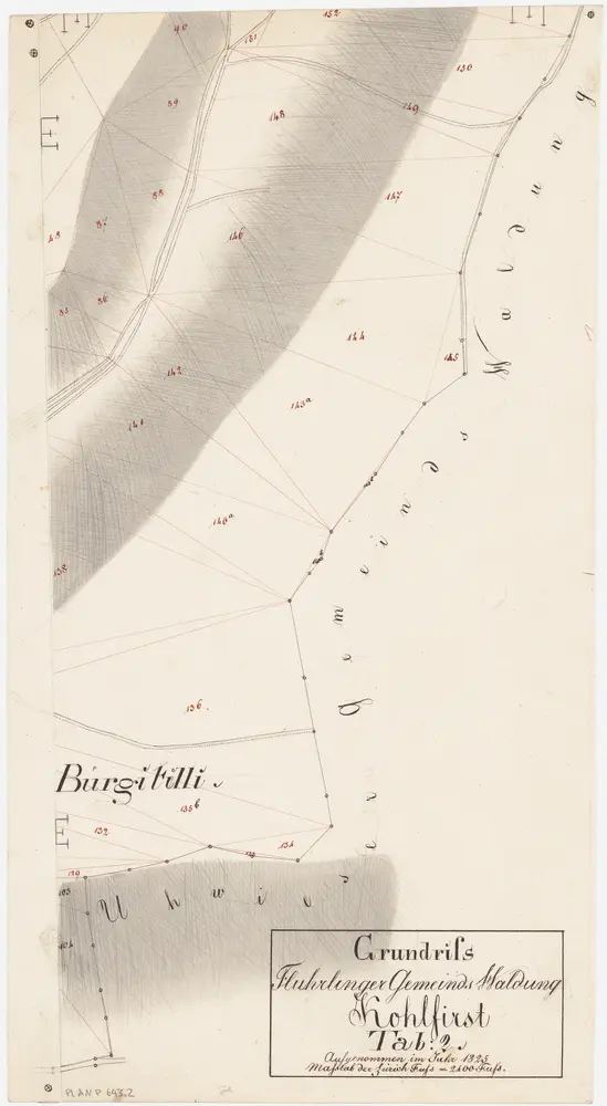 Flurlingen: Gemeindewaldung: Cholfirst (Kohlfirst), Bürgitilli; Grundriss (Tab. II)