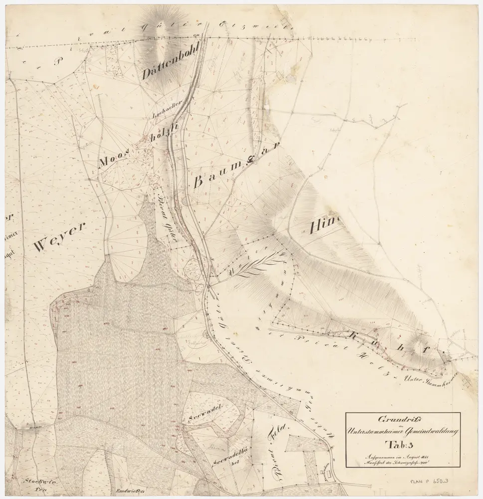 Unterstammheim: Gemeindewaldung: Dättenbol (Dättenbohl), Moshölzli (Mooshölzli), Lochacker, Baumgarten, Emdwies, Seewädeli (Seewadel); Grundriss (Tab. 3)