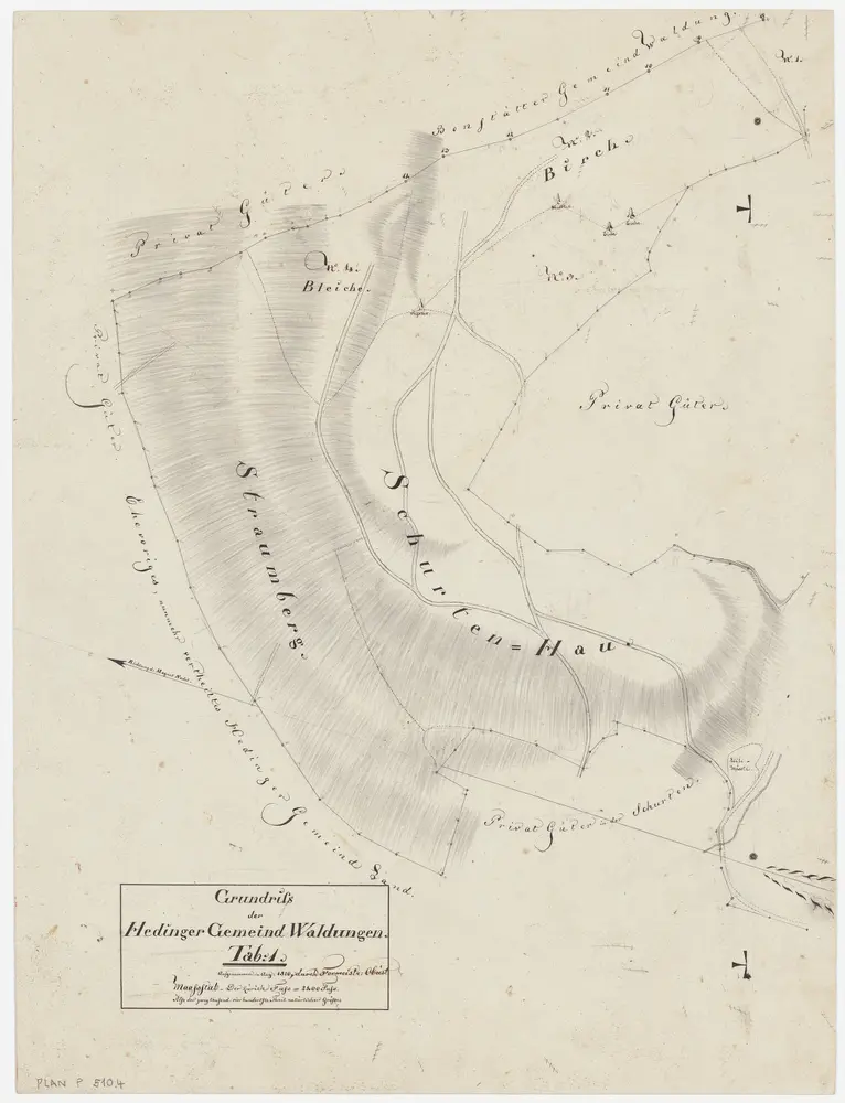 Hedingen: Gemeinde- und Genossenschaftswaldungen: Gemeindewaldungen Schurtenhau, Bleiche (Bleiki), Birch, Strumberg; Grundriss (Tab. 1)