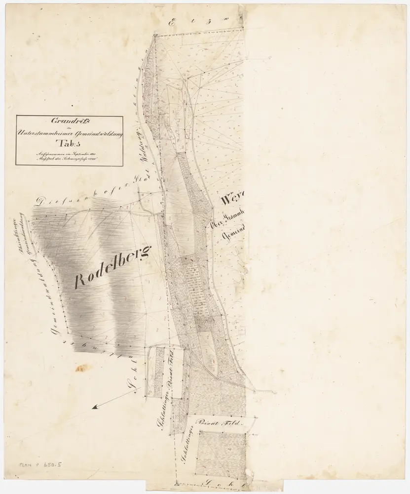 Unterstammheim: Gemeindewaldung: Rodelberg; Grundriss (Tab. 5)