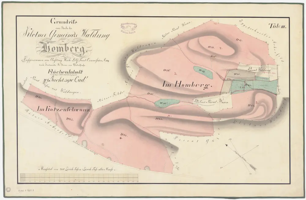 Kloten: Gemeinde- und Genossenschaftswaldungen: Gemeindewaldungen Homberg und Chatzenschwanz (Katzenschwanz); Grundriss (Tab. III)