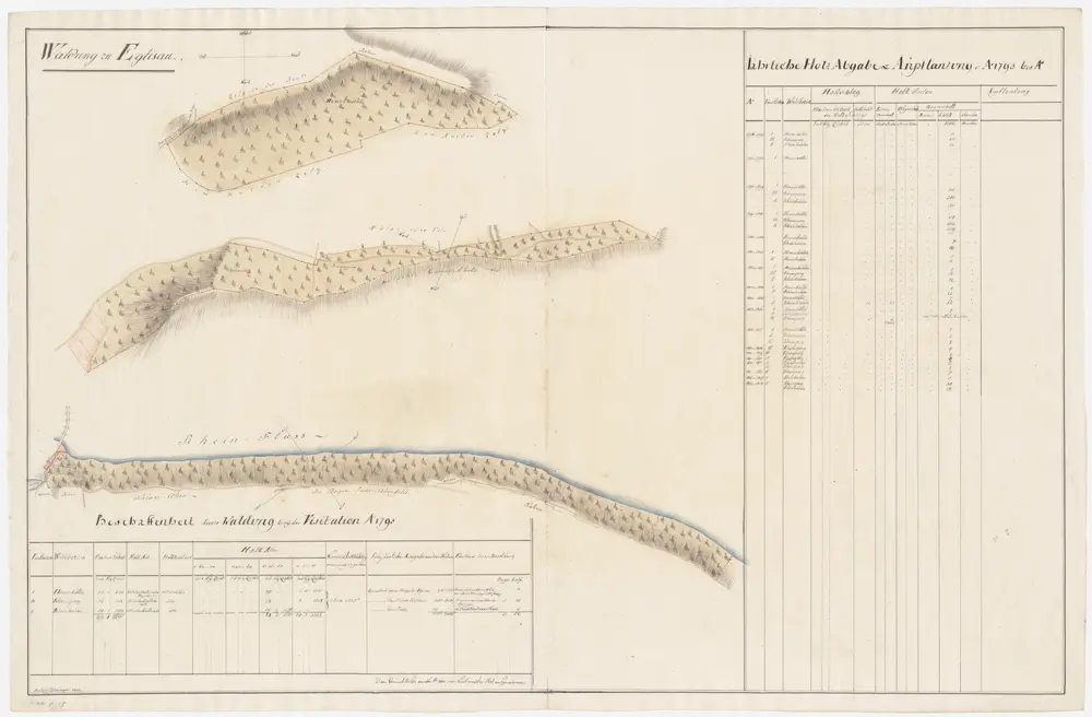 Eglisau: Dem Kornamt gehörende Waldung (Waldbezirke Herrenholz, Rheinsberg und Rheinhalde); Grundrisse (I. Planche)