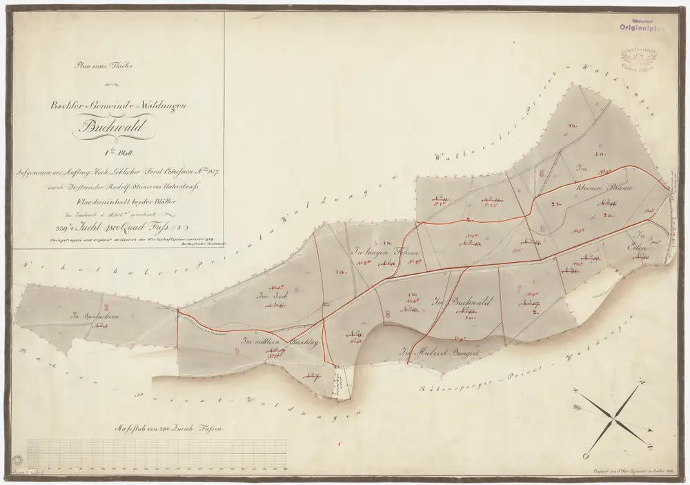 Bachs: Gemeindewaldung: Buechwald (Buchwald); Grundriss (Blatt I)