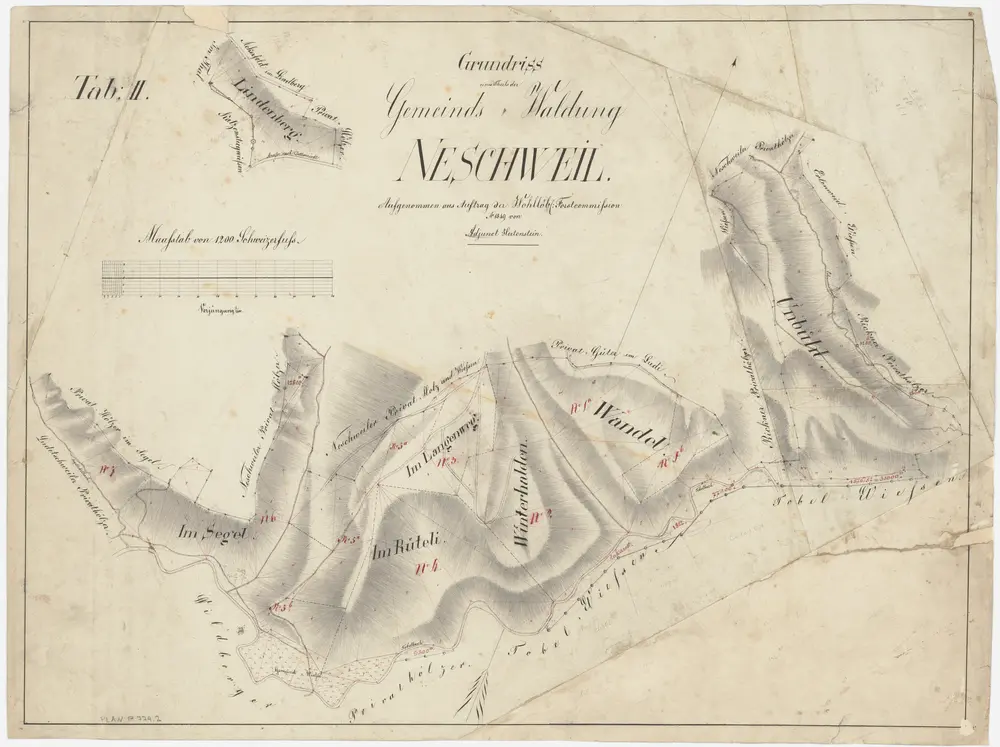 Weisslingen: Gemeindewaldung Neschwil: Lindenberg, Sägel (Segel), Rüteli, Langenweg, Winterhalden, Wandel, Unenbüel (Unbühl); Grundrisse (Tab. II)