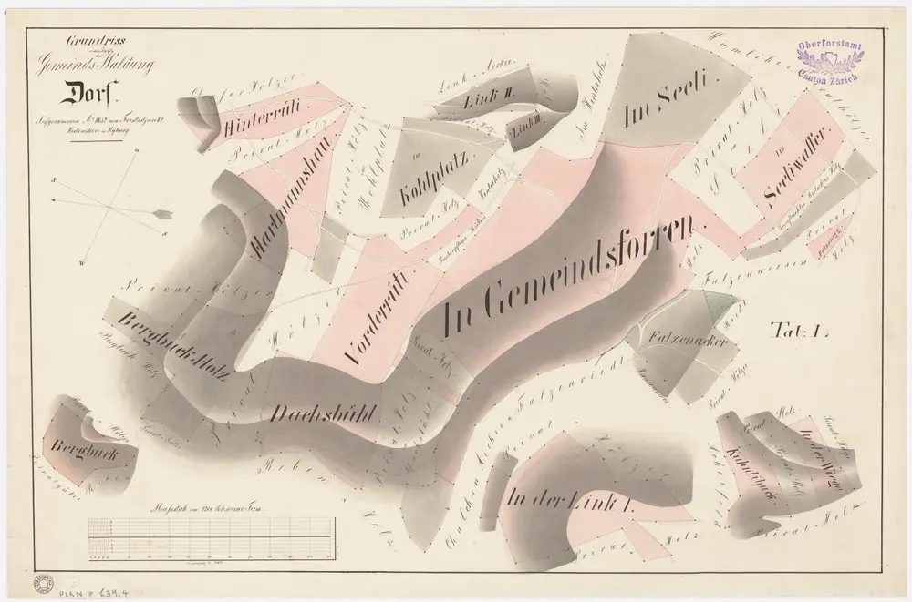 Dorf: Gemeindewaldung: Bergbuck, Hartmannshau, Hinderrüti, Vorderrüti, Cholplatz, Dachsbüel, Chalchen, Gmeindsforen (Gemeindsforren), Seeli, Falzen, Linggholz (Link), Wiegen; Grundriss (Tab. I)