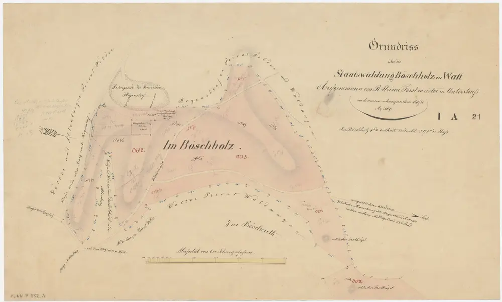 Regensdorf: Staatswaldung Watt: Pöschholz (Böschholz); Grundriss