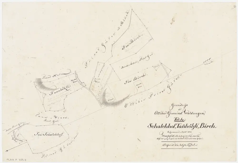 Illnau-Effretikon (damals Illnau): Gemeinde- und Genossenschaftswaldungen Ottikon: Gemeindewaldungen Schalchhof, Tannhölzli, Birch; Grundriss (Tab. 4)