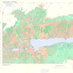 Spesielle kart 147-3b,  Vegetasjonskart-Vassfaret: III Aurdalsfjorden