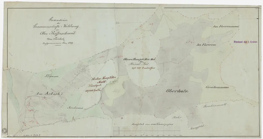 Rifferswil: Genossenschaftswaldung Oberrifferswil: Tannholz; Grundriss