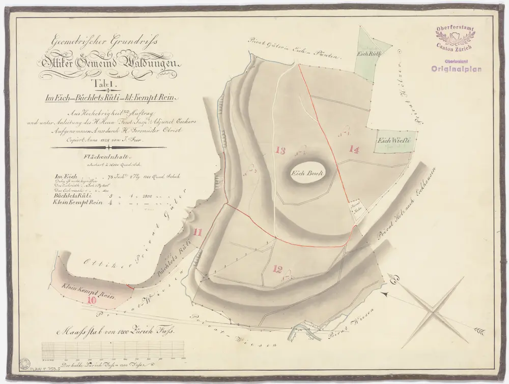 Illnau-Effretikon (damals Illnau): Gemeinde- und Genossenschaftswaldungen Ottikon: Gemeindewaldungen Eich, Büechletsrüti (Büchletsrüti), Chämtenrain (Klein Kemptenrein); Grundriss (Tab. I)
