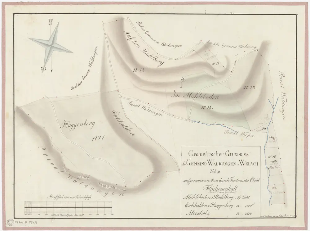 Weiach: Gemeindewaldung: Müliboden (Mühleboden), Stadlerberg (Stadelberg), Eichhalden, Haggenberg, Maas (Moosholz); Grundriss (Tab. III)