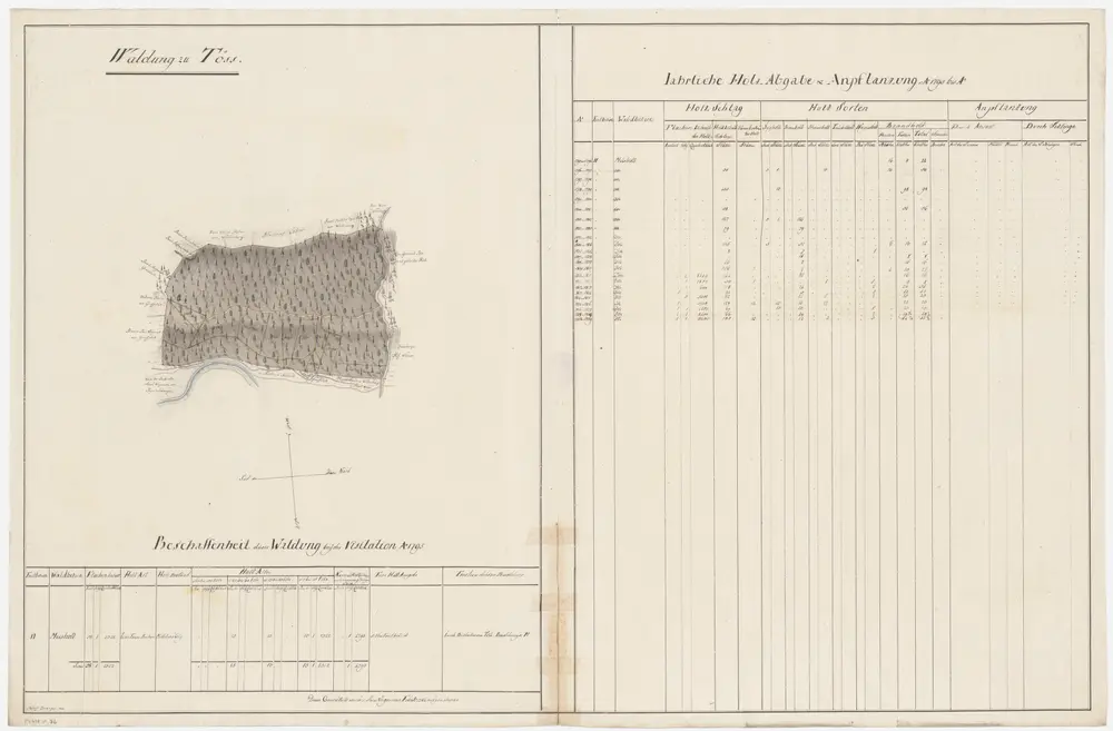 Töss: Dem Amt Winterthur gehörende Waldung (Waldbezirk Maisholz); Grundriss (XI. Planche)