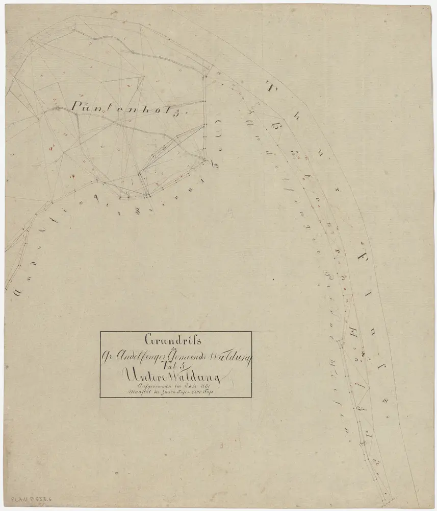 Andelfingen (damals Grossandelfingen): Gemeindewaldung: Untere Waldung (Püntenholz, Büelenholz); Grundriss (Tab. 5)