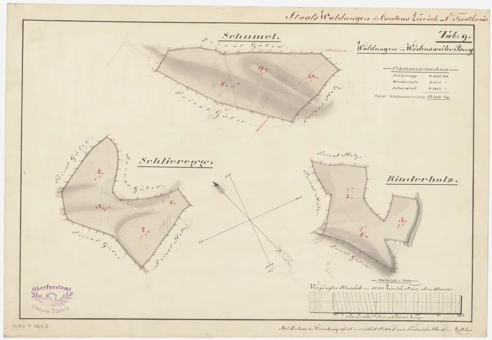 Schönenberg, Richterswil, Wädenswil: Staatswaldungen: Wädenswil: Rinderholz, Schliereggholz, Schumel; Grundrisse (Tab. 9)