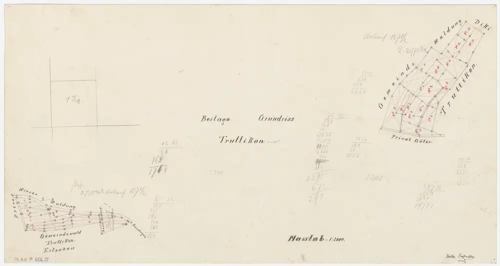 Truttikon: Gemeindewaldung: Erlihau (Erlenhau), Dickiwald (Dikiwald); Grundrisse