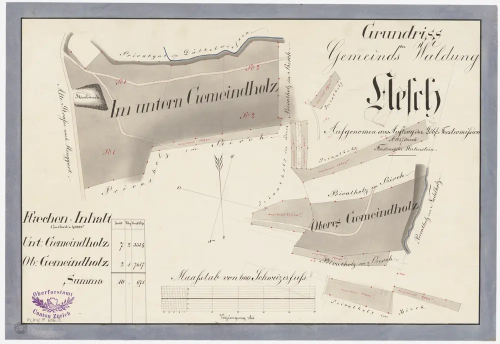 Neftenbach: Gemeindewaldung Aesch: Gemeindewaldung Aesch mit Birch, Unteres Gemeindeholz, Oberes Gemeindeholz; Grundrisse