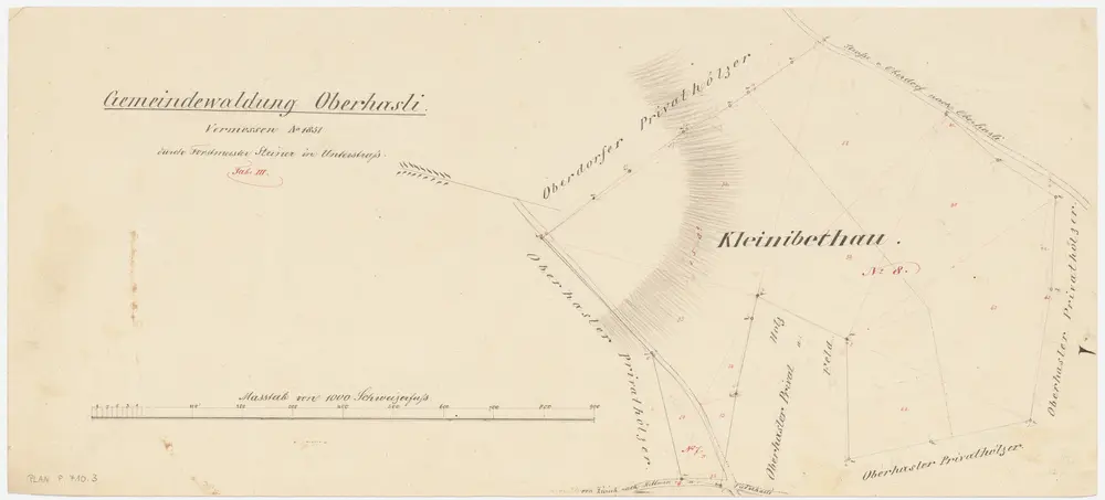 Niederhasli: Zivilgemeindewaldung Oberhasli: Ibig (Klein Ibethau); Grundriss (Tab. III)