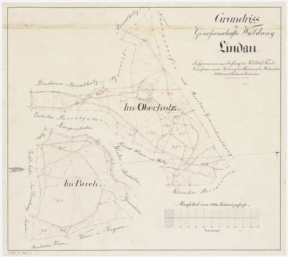 Lindau: Genossenschaftswaldung: Buech (Buch), Oberholz; Grundrisse