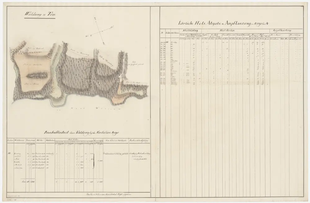 Töss: Dem Amt Winterthur gehörende Waldung (Waldbezirke Niesenberg, In der Rüti, Im Schatz, Im Scheuerrain, Im Neubruch und Fönhölzli); Grundriss (XIII. Planche)