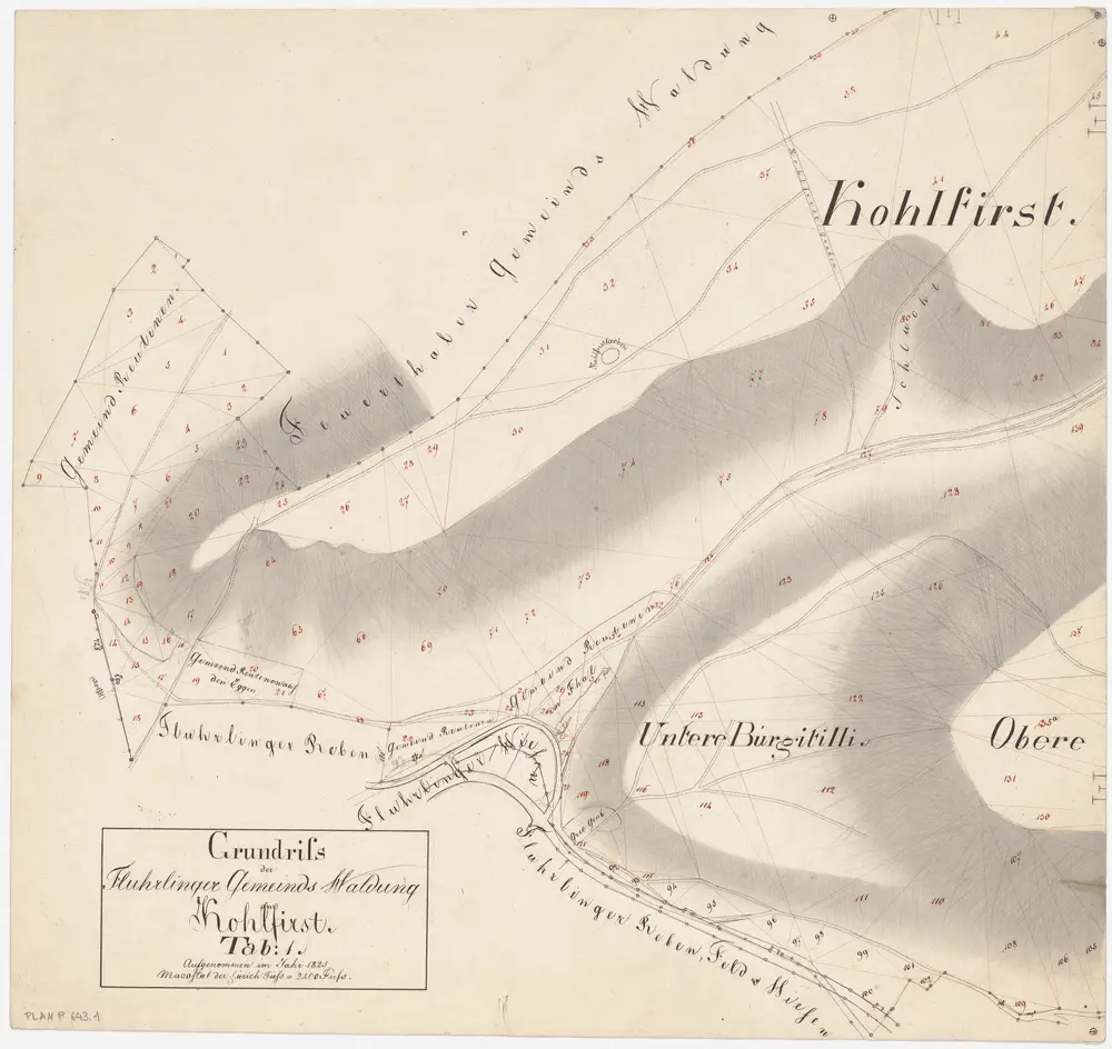 Flurlingen: Gemeindewaldung: Cholfirst (Kohlfirst), Unter Bürgitilli; Grundriss (Tab. I)