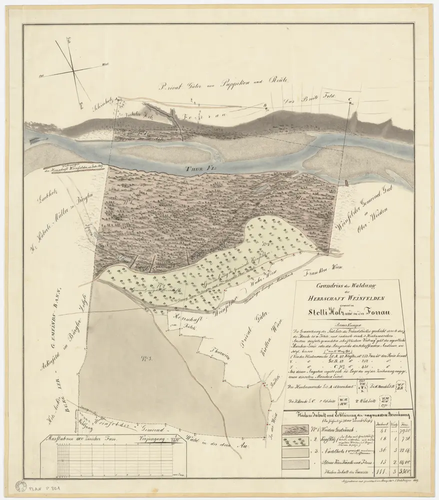 Weinfelden TG: Der Herrschaft Weinfelden gehörende Waldungen Stelliholz und Forrau; Grundriss
