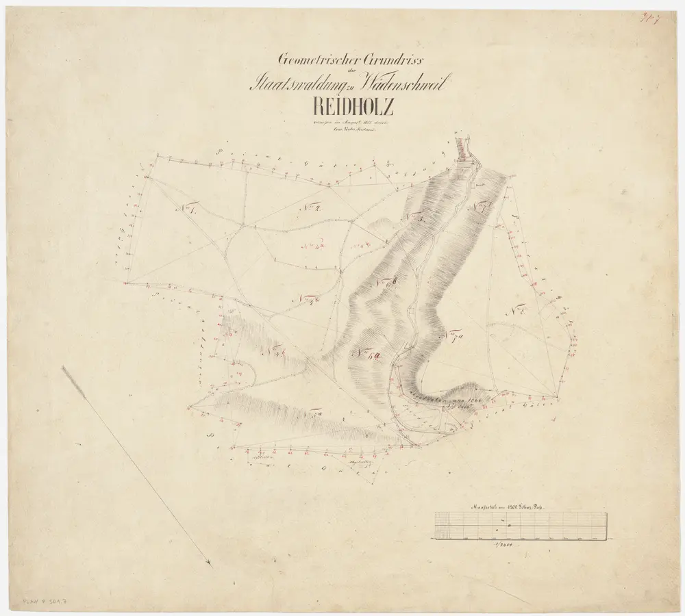 Schönenberg, Richterswil, Wädenswil: Staatswaldungen: Wädenswil: Reidholz, Tann; Grundriss