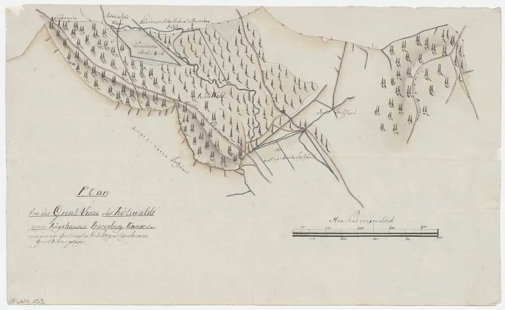 Grenzlinie des zwischen Rüti und Bubikon gelegenen Rütiwaldes gegen Rüeggshausen, Barenberg und Kämmoos; Grundriss