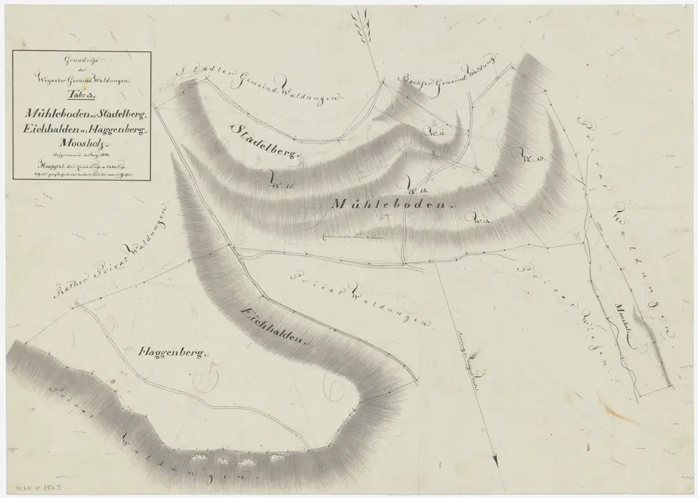 Weiach: Gemeindewaldung: Müliboden (Mühleboden), Stadlerberg (Stadelberg), Eichhalden, Haggenberg, Maas (Moosholz); Grundriss (Tab. III)