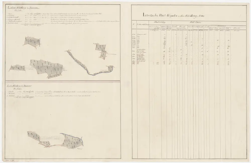 Gossau: Dem Amt Rüti gehörende Waldung in Tägernau (I. und II. Lehen); Grundrisse (XXI. Planche)