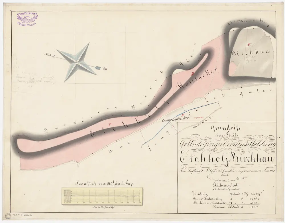 Andelfingen (damals Grossandelfingen): Gemeindewaldung: Eichholz, Haselacker, Birchhau; Grundriss