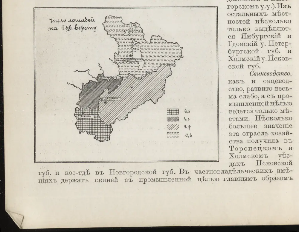 [Nordrussland ; Pferd]