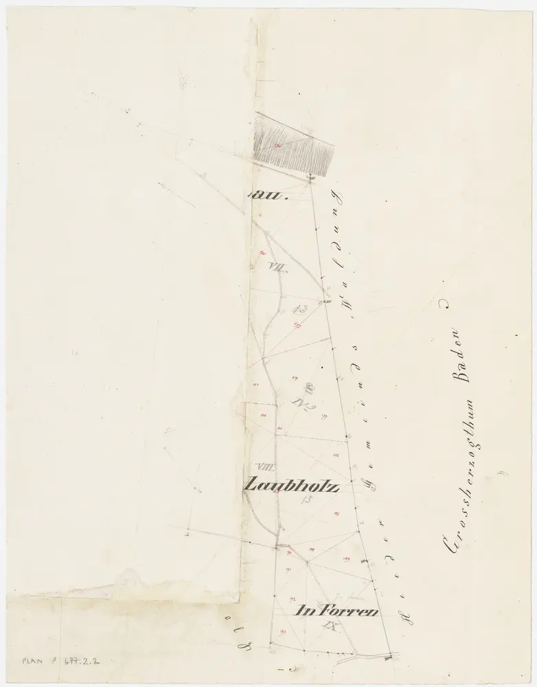 Hüntwangen: Gemeindewaldung: Laubholz, In Forren; Grundriss (Tab. II)