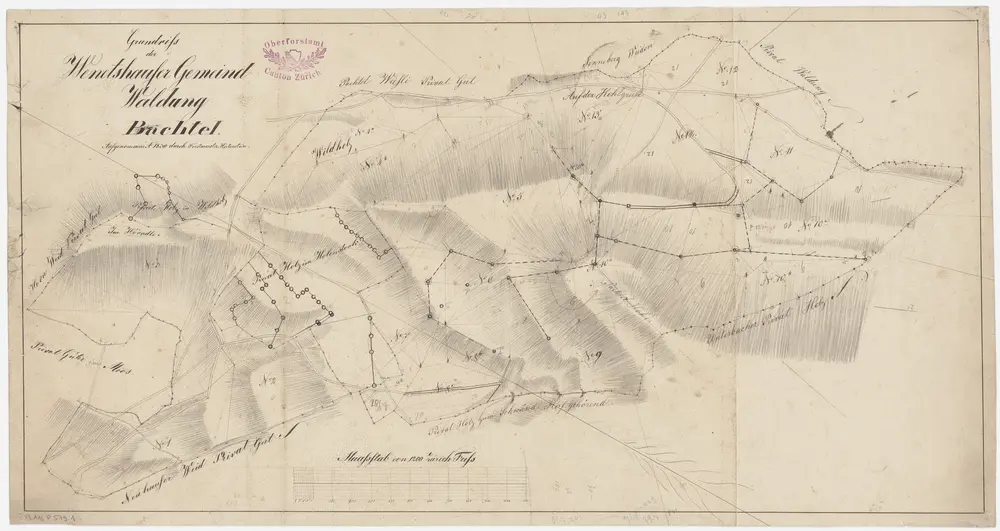 Hinwil: Gemeinde- und Genossenschaftswaldungen Wernetshausen: Gemeindewaldung Bachtel mit Horn, Stelze, Moos, Holenstock, Wildholz, Bachtelwiesli, Chaltenbrunnen, Grauenstein, Vorderhöi, Hinderhöi, Rüti; Grundriss