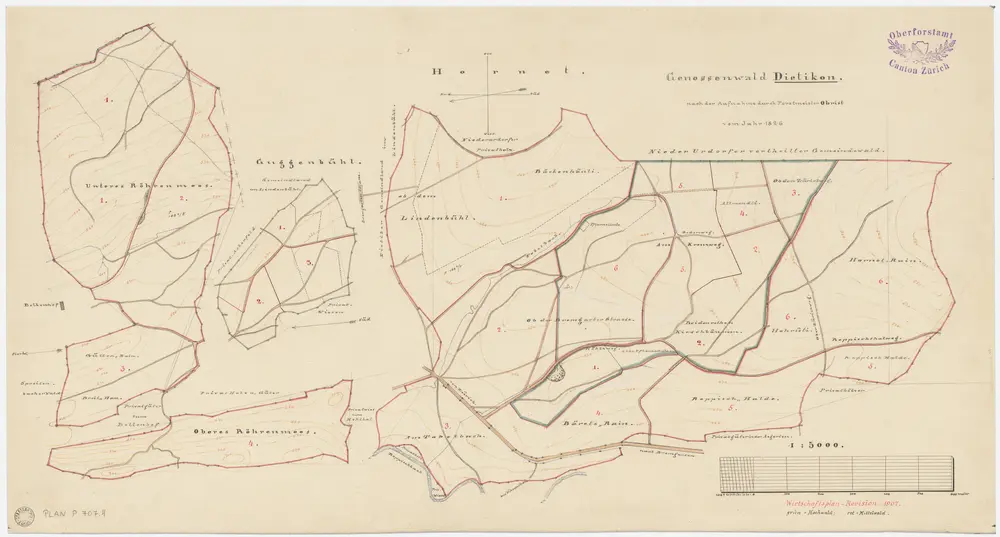 Dietikon: Gemeinde- und Genossenschaftswaldungen: Genossenschaftswaldungen Rörimoos (Unteres und Oberes Röhrenmoos), Güllenrain, Guggenbüel und Honeret mit Beckenhäuli (Bäckenhäuli), Obem Lindenbüel (Lindenbühel), Kreuzweg, Bei den roten Kirschbäumen; Übersichtsplan