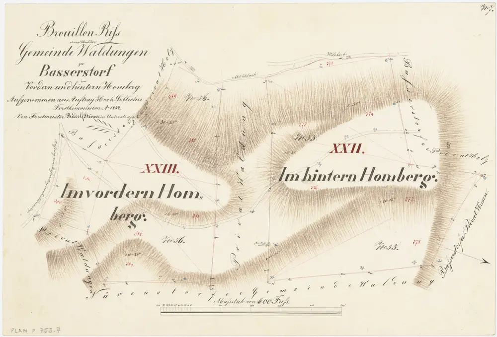 Bassersdorf: Gemeindewaldung: Im vordern und Im hintern Homberg; Grundriss (Nr. 7)