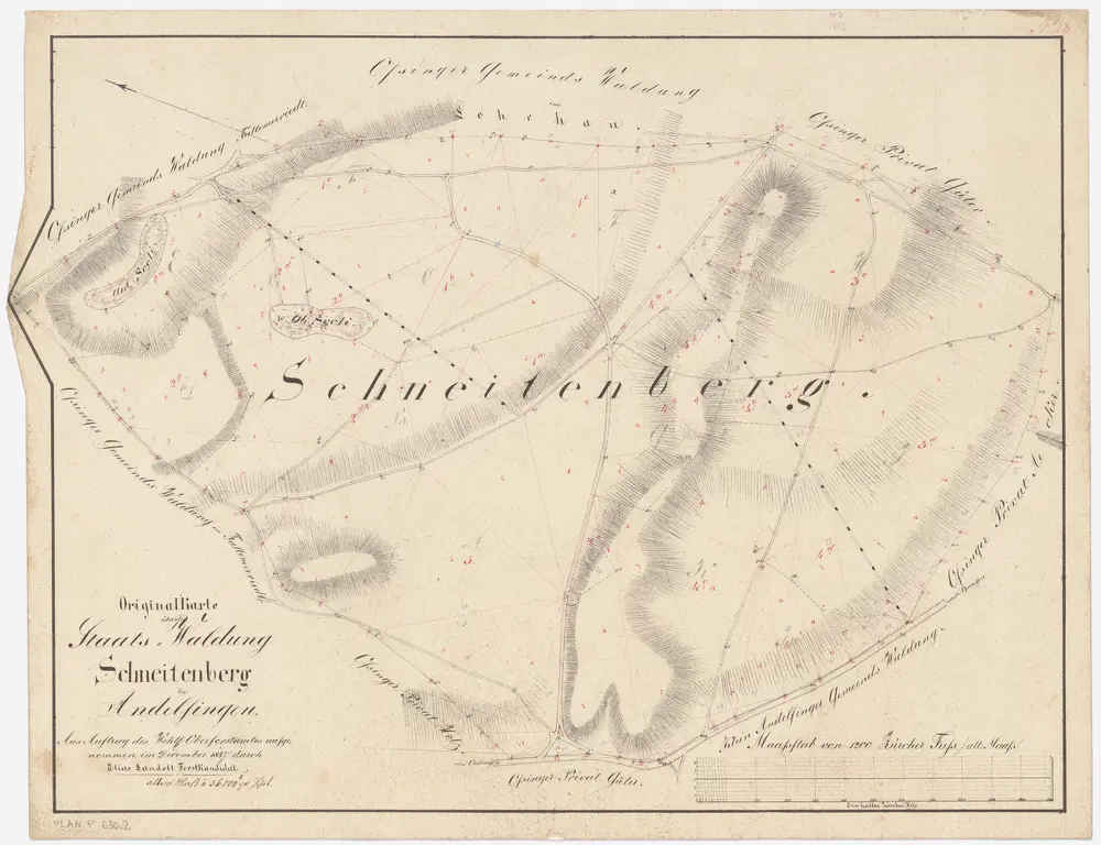 Ossingen: Staatswaldung: Schneitenberg; Grundriss