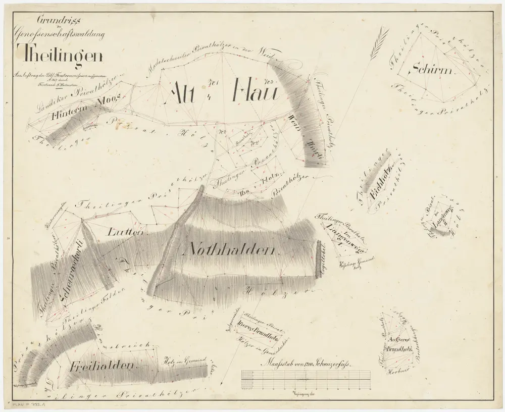 Weisslingen: Genossenschaftswaldung Theilingen: Hinterm Moos, Althau, Schirm, Weinthürli, Taaholz (Thaholz), Eichholz, Langenweg, Scheuräckerli, Lutten, Nothalden (Nothhalden), Freihalden, Inneres Brandholz, Äusseres Brandholz; Grundrisse