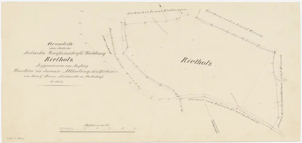 Seebach: Gemeinde- und Genossenschaftswaldungen: Genossenschaftswaldung Rietholz; Grundriss