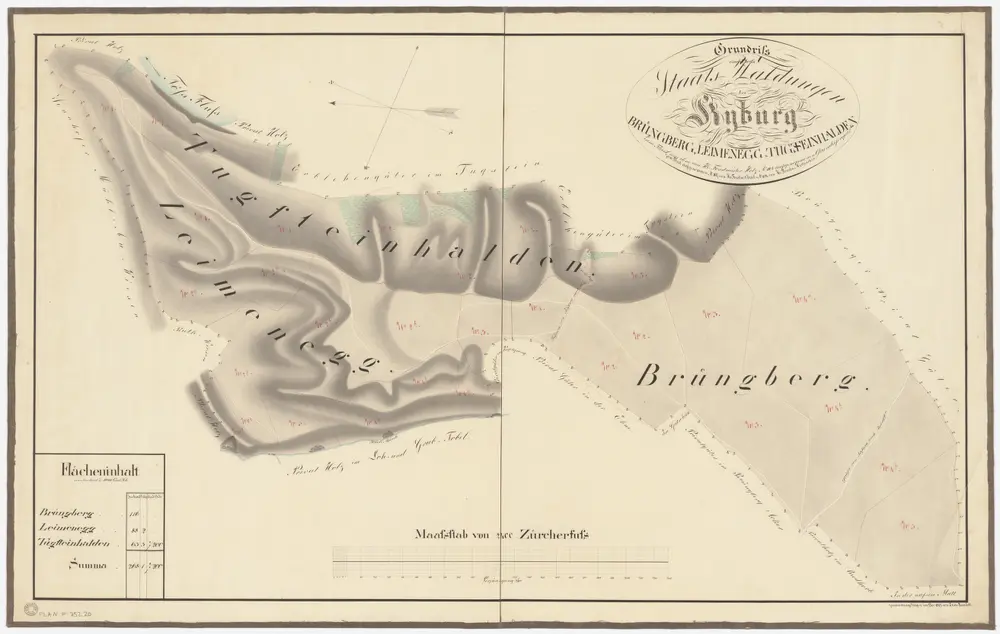 Kyburg, Töss, Illnau-Effretikon (damals Illnau), Schlatt: Staatswaldung: Kyburg: Tutschgenhalden (Tugsteinhalden), Leimenegg, Brünggberg (Brüngberg); Grundriss