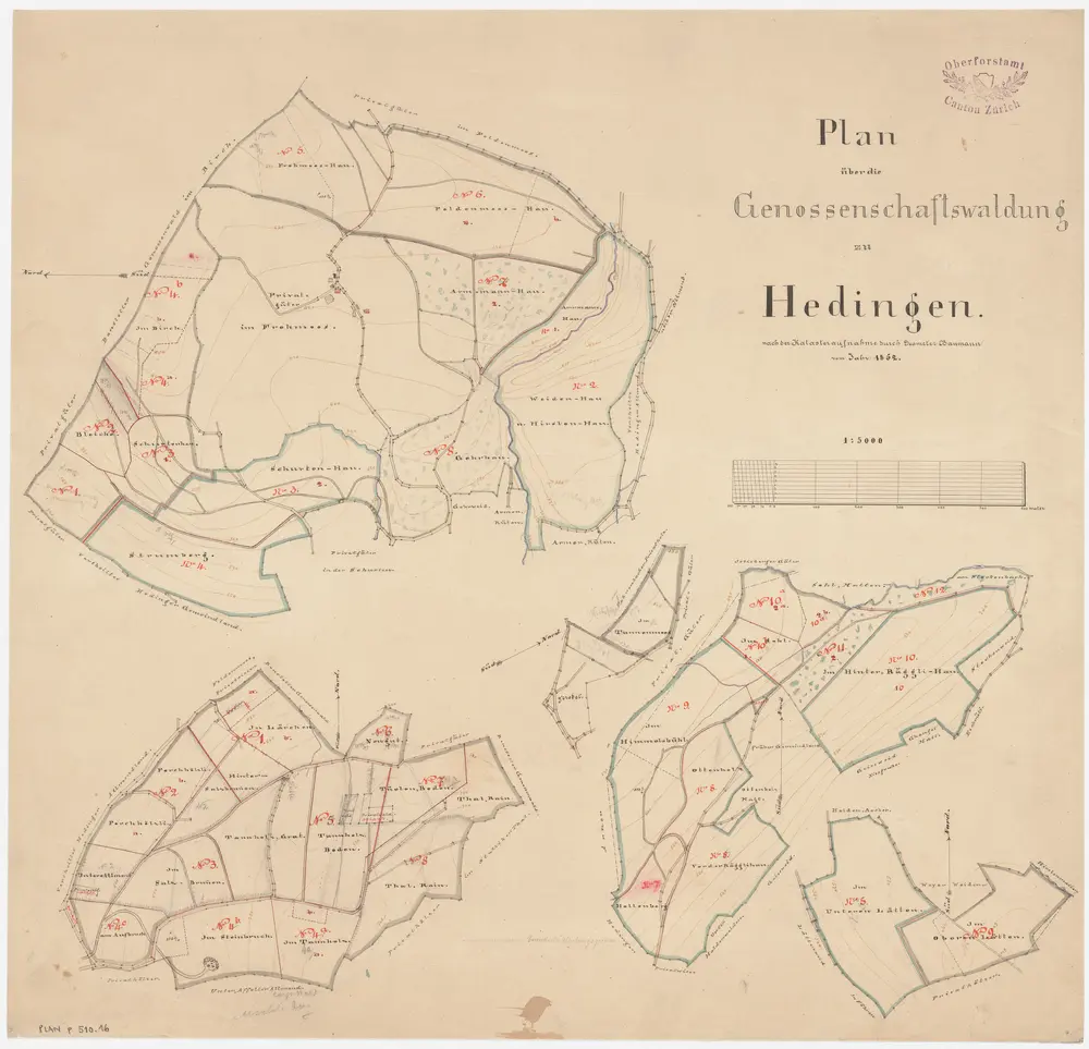 Hedingen: Gemeinde- und Genossenschaftswaldungen: Genossenschaftswaldungen; Übersichtsplan