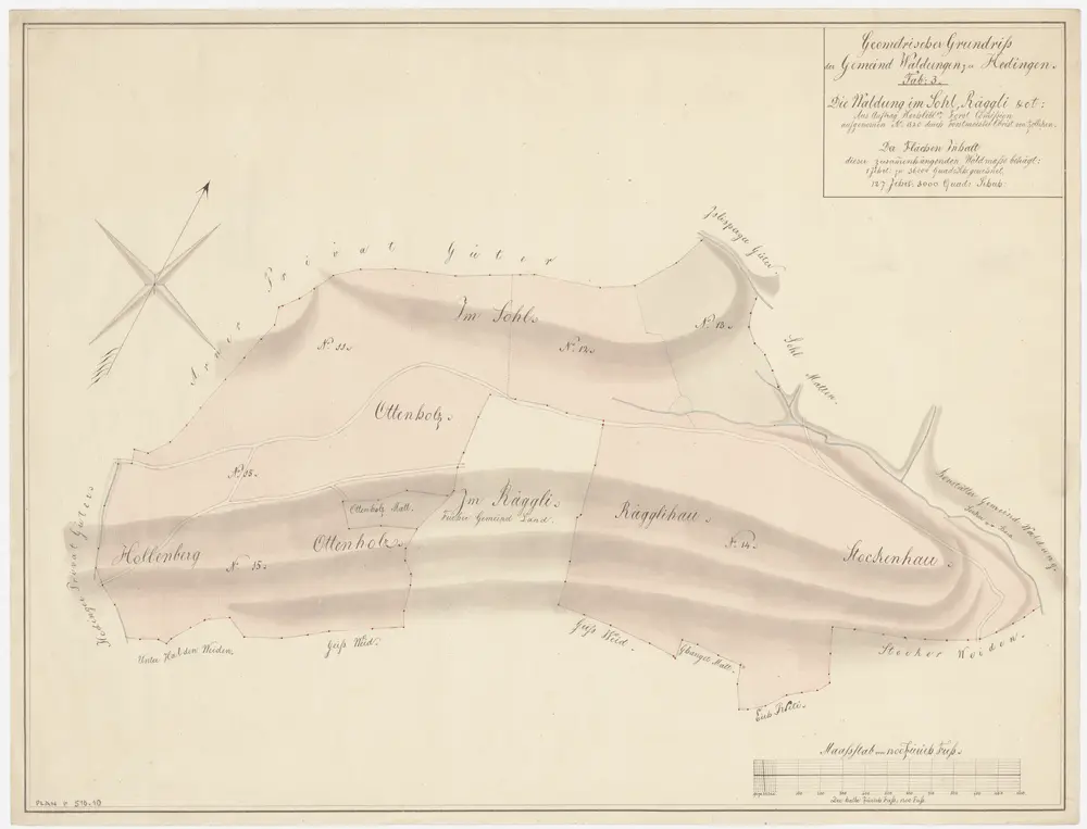 Hedingen: Gemeinde- und Genossenschaftswaldungen: Gemeindewaldungen Holenberghau, Ottenholzhau, Räggliholz, Stockenhau, Sol; Grundriss (Tab. 3)