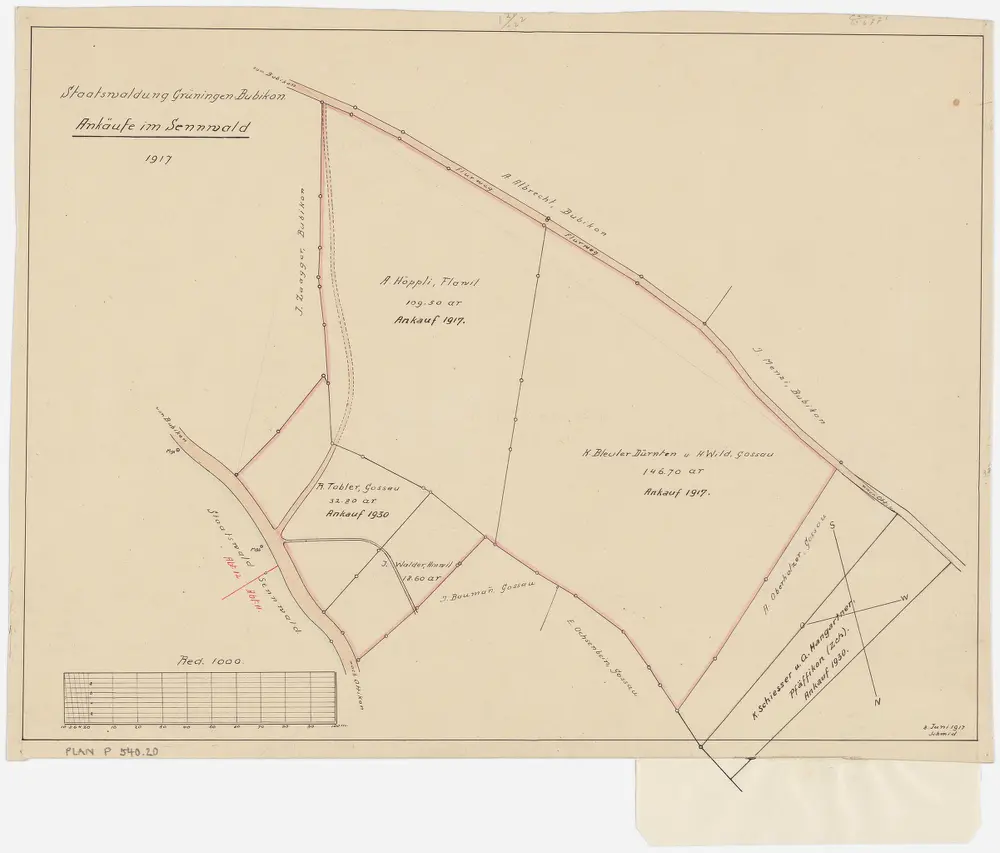 Grüningen, Gossau, Bubikon: Staats- und Privatwaldungen: Bubikon: Angekaufte Grundstücke im Sennwald; Grundriss