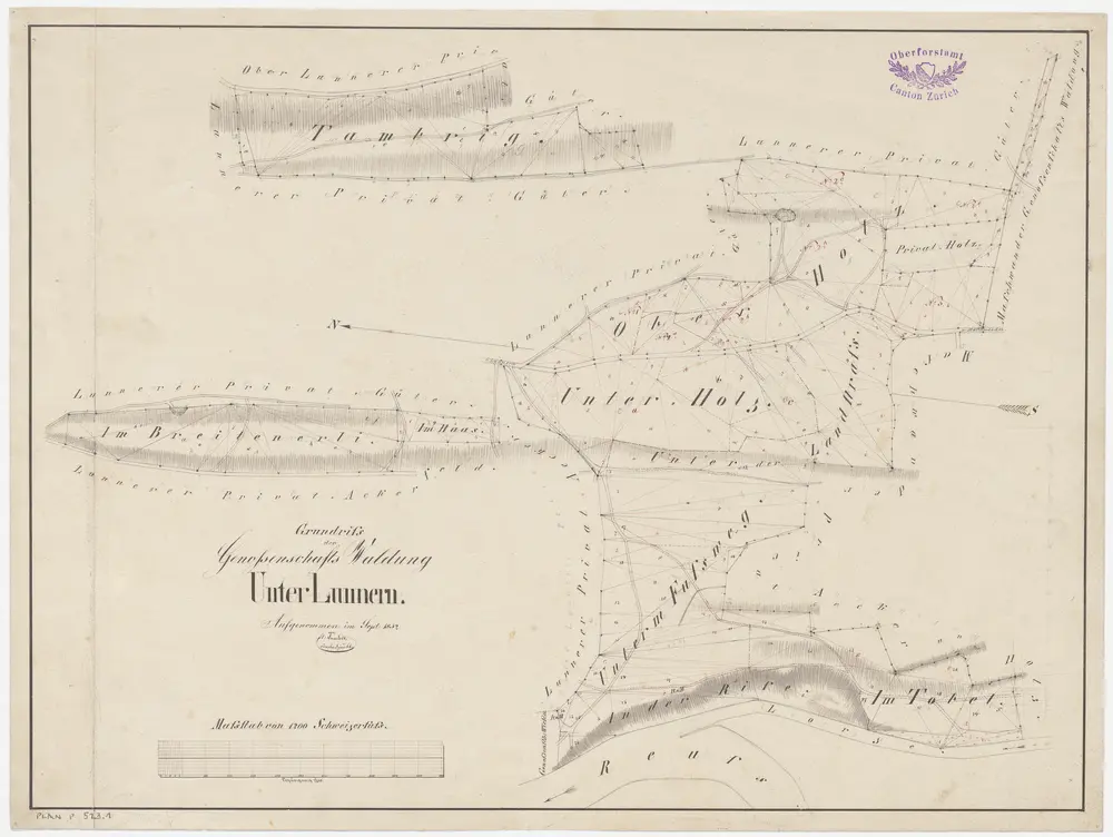 Obfelden: Genossenschaftswaldung Unterlunnern: Tambrig, Oberholz, Unterholz, Unterm Fussweg, Breitenerli; Grundriss