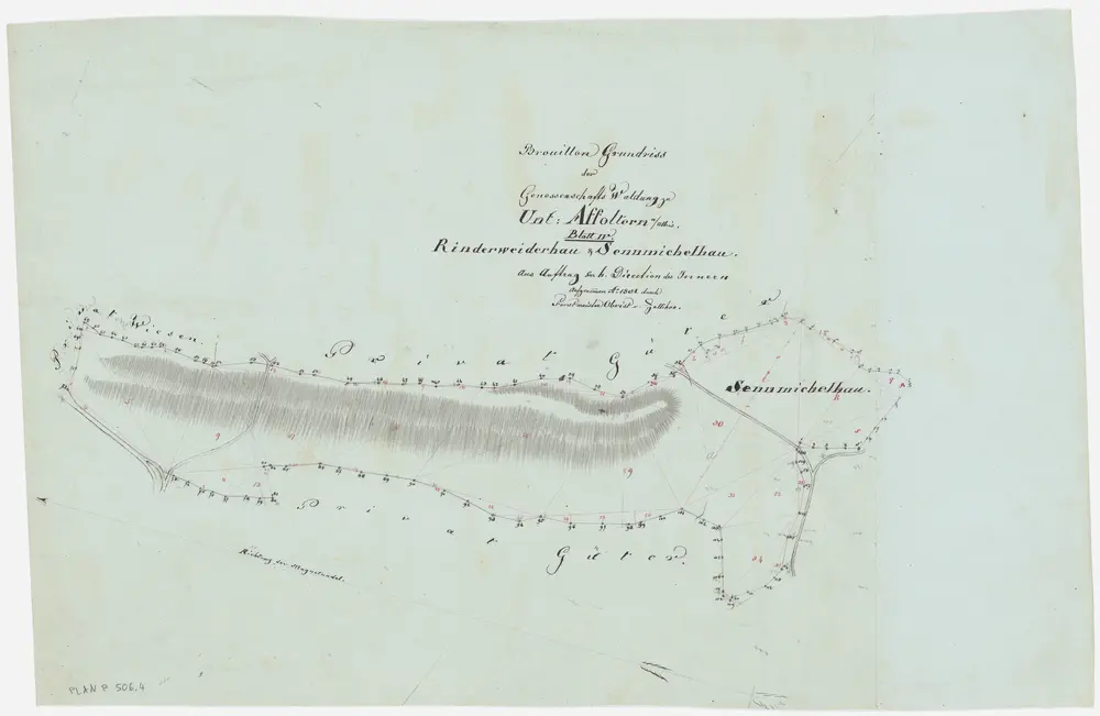 Affoltern am Albis: Genossenschaftswaldung Unteraffoltern: Rinderweiderhau und Sennmichelhau; Grundriss (Blatt IV)